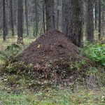 Motivatsiooni leidmine treeningutes